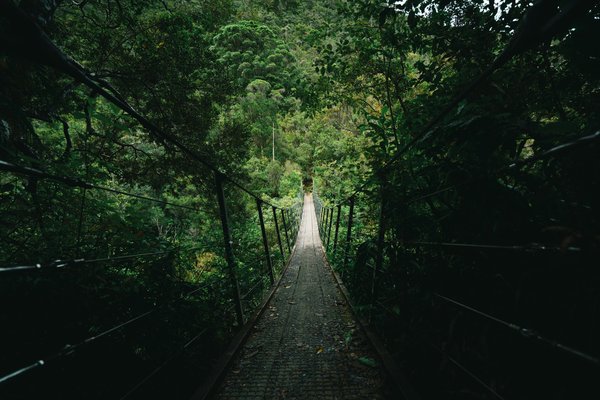 Planifier votre séjour en Nouvelle-Zélande : l'aventure Milford Sound vous attend