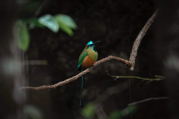 LES BESOINS DU JEUNE PENDANT LE SEJOUR